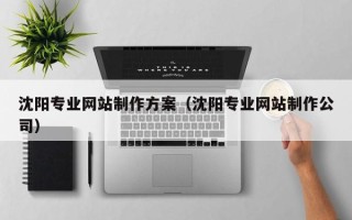 铜陵沈阳专业网站制作方案（沈阳专业网站制作公司）